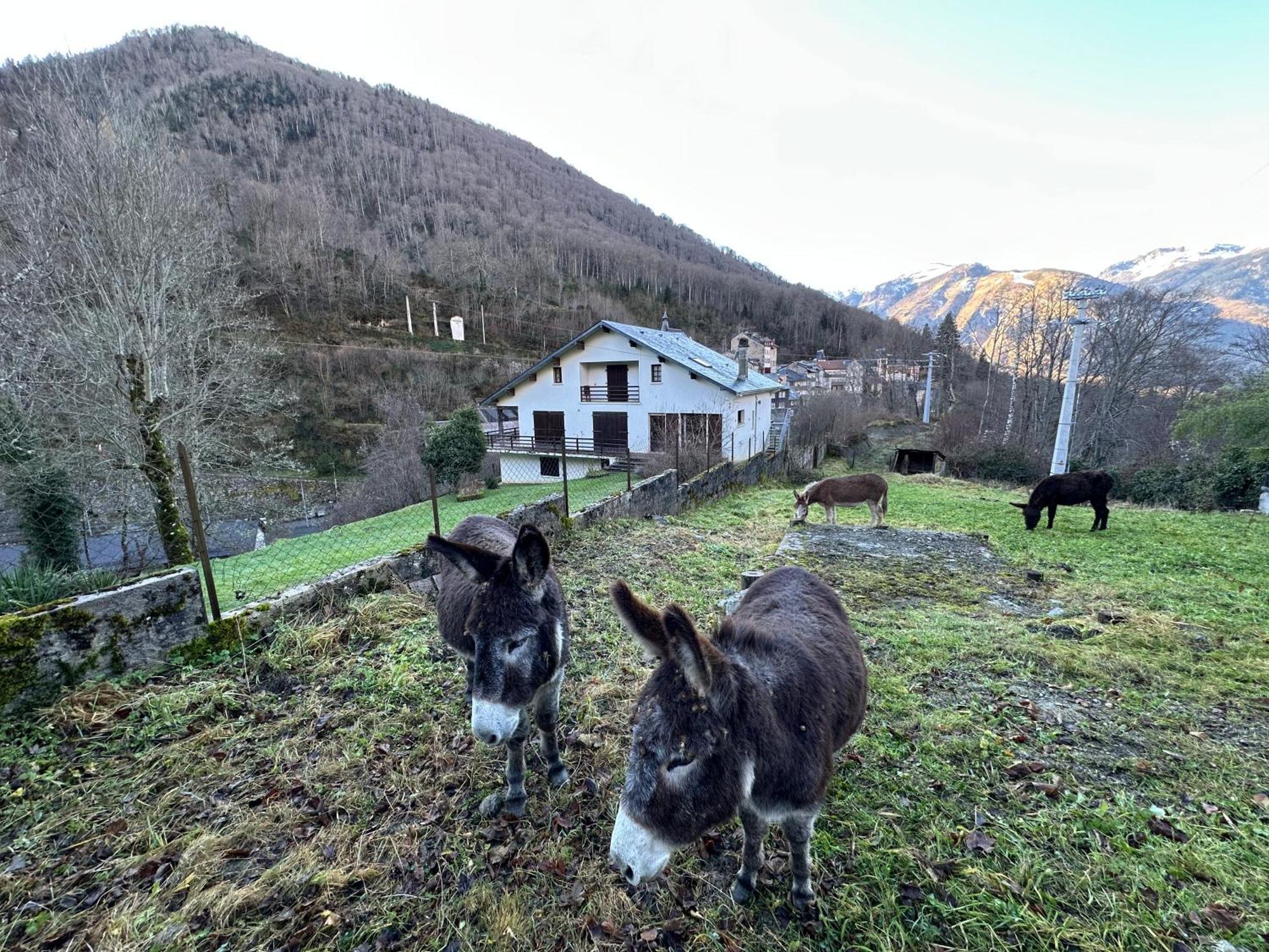 Chalet Artigalas Eaux-Bonnes Eksteriør bilde